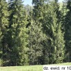 10492_4.jpg