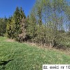 10495_1_2.jpg