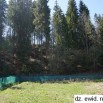 10594_3_1.jpg