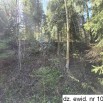 10594_3_2.jpg